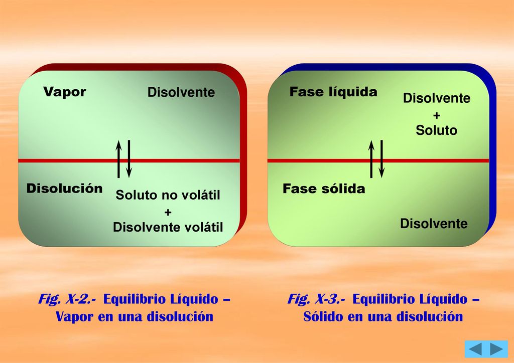 Fig. X-2.- Equilibrio Líquido – Vapor en una disolución