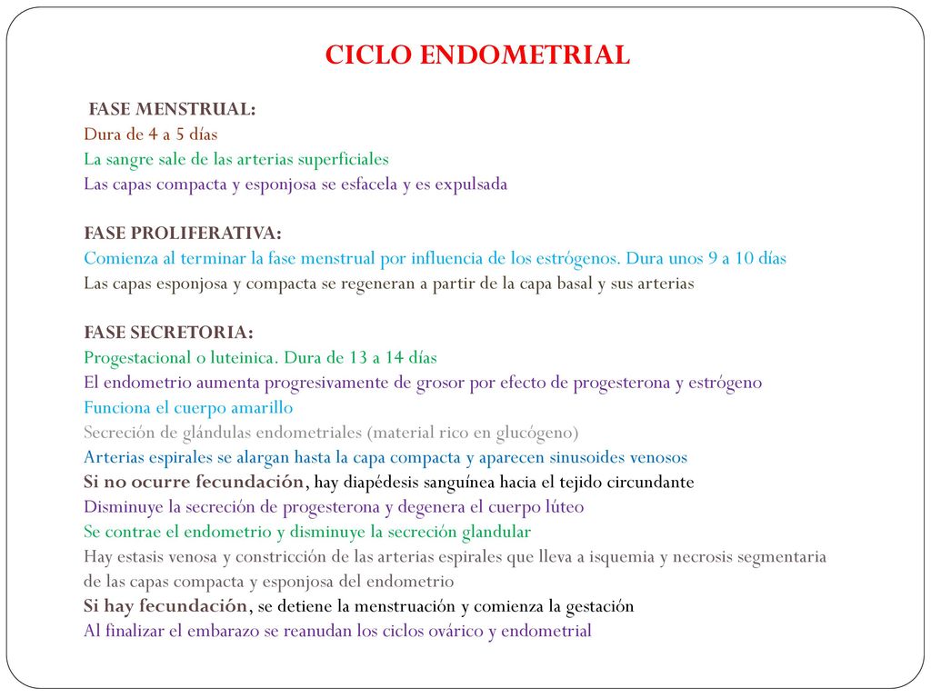 CICLO ENDOMETRIAL FASE MENSTRUAL: Dura de 4 a 5 días