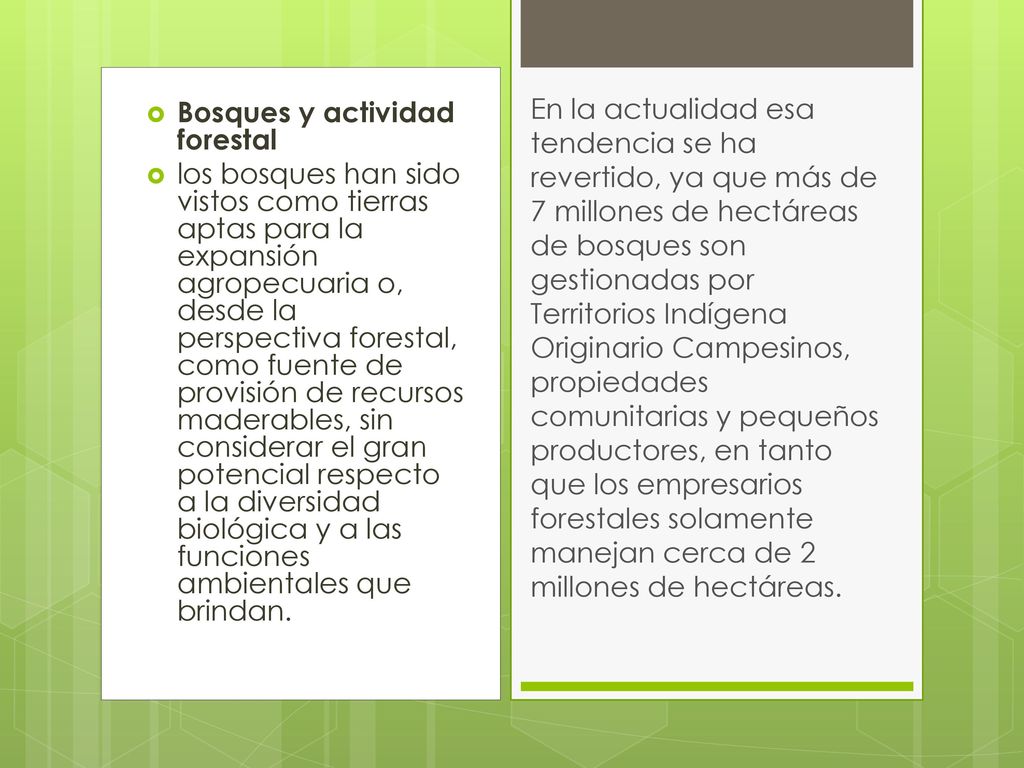 En la actualidad esa tendencia se ha revertido, ya que más de 7 millones de hectáreas de bosques son gestionadas por Territorios Indígena Originario Campesinos, propiedades comunitarias y pequeños productores, en tanto que los empresarios forestales solamente manejan cerca de 2 millones de hectáreas.