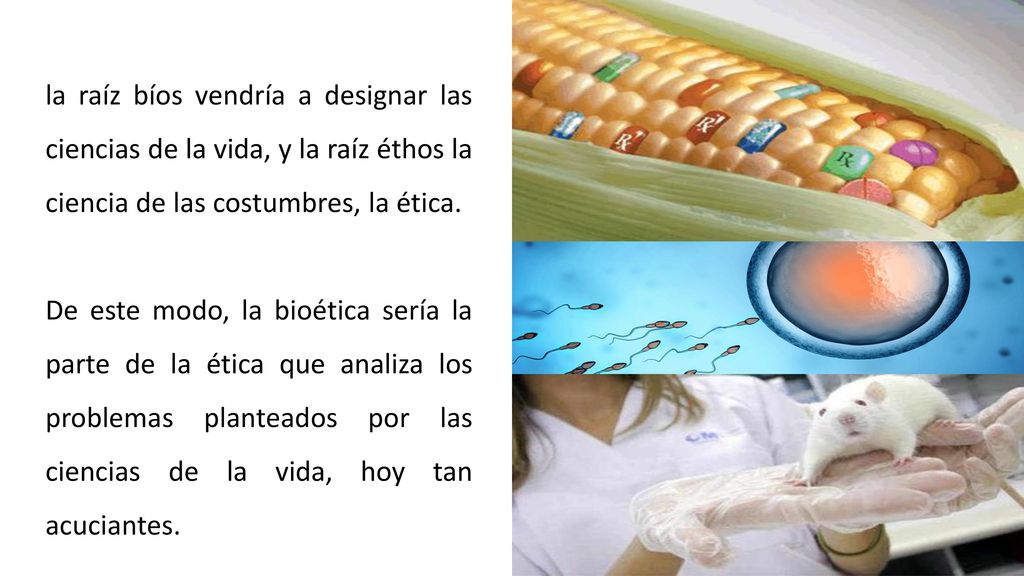 la raíz bíos vendría a designar las ciencias de la vida, y la raíz éthos la ciencia de las costumbres, la ética.