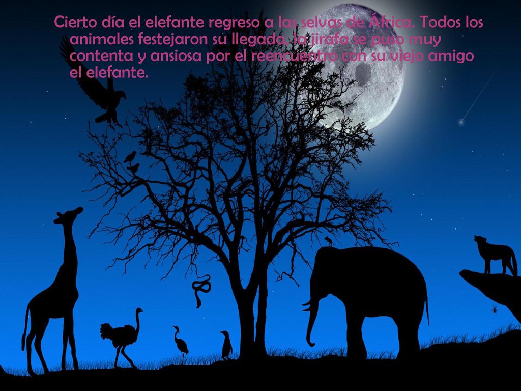 Cierto día el elefante regreso a las selvas de África