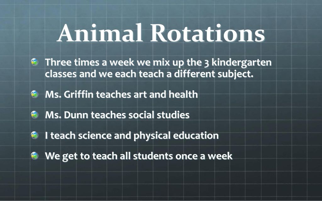 Animal Rotations Three times a week we mix up the 3 kindergarten classes and we each teach a different subject.