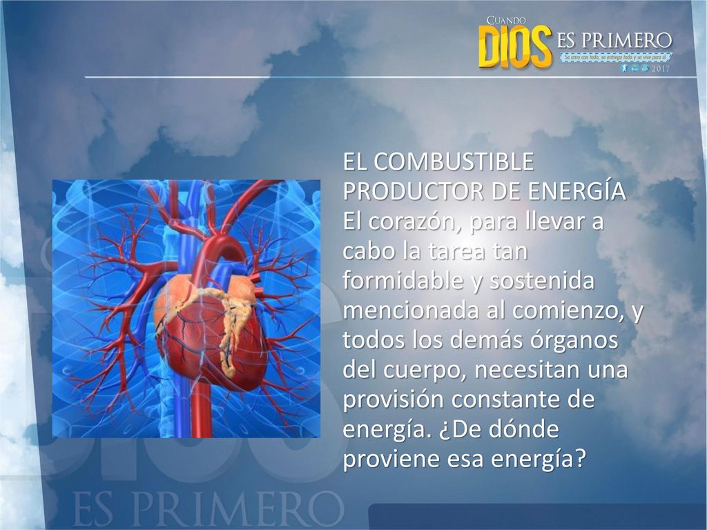 EL COMBUSTIBLE PRODUCTOR DE ENERGÍA El corazón, para llevar a cabo la tarea tan formidable y sostenida mencionada al comienzo, y todos los demás órganos del cuerpo, necesitan una provisión constante de energía.