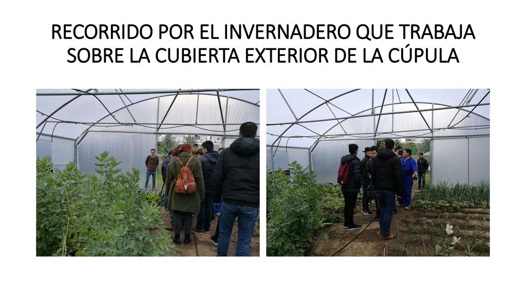 RECORRIDO POR EL INVERNADERO QUE TRABAJA SOBRE LA CUBIERTA EXTERIOR DE LA CÚPULA