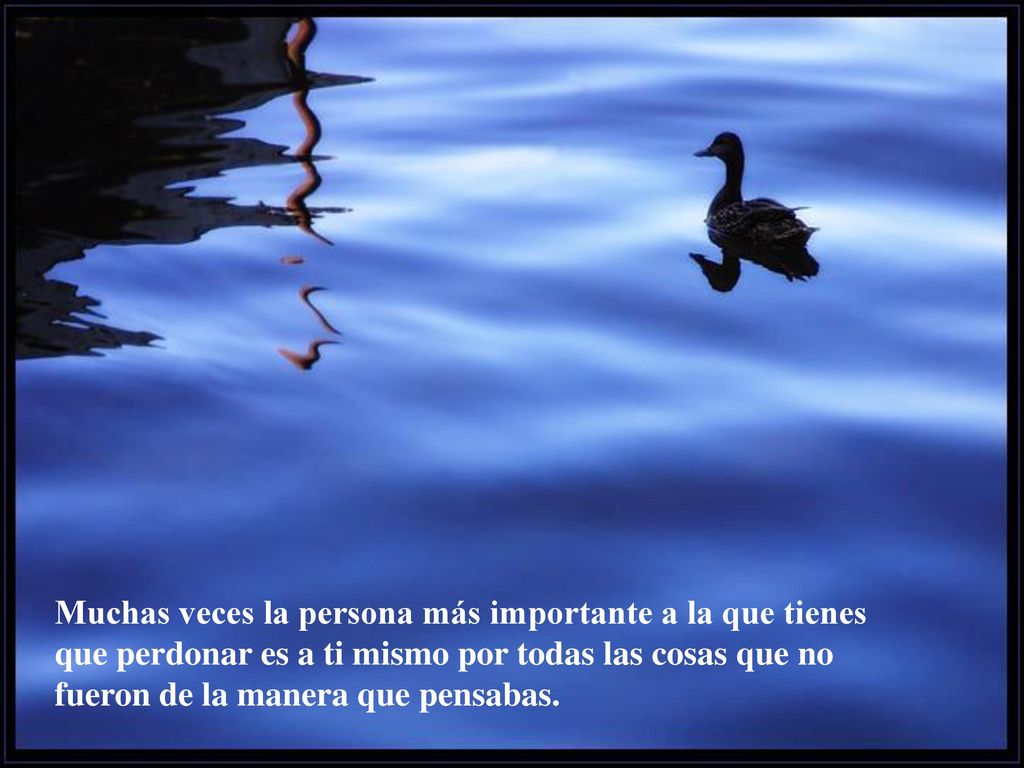 Muchas veces la persona más importante a la que tienes que perdonar es a ti mismo por todas las cosas que no fueron de la manera que pensabas.