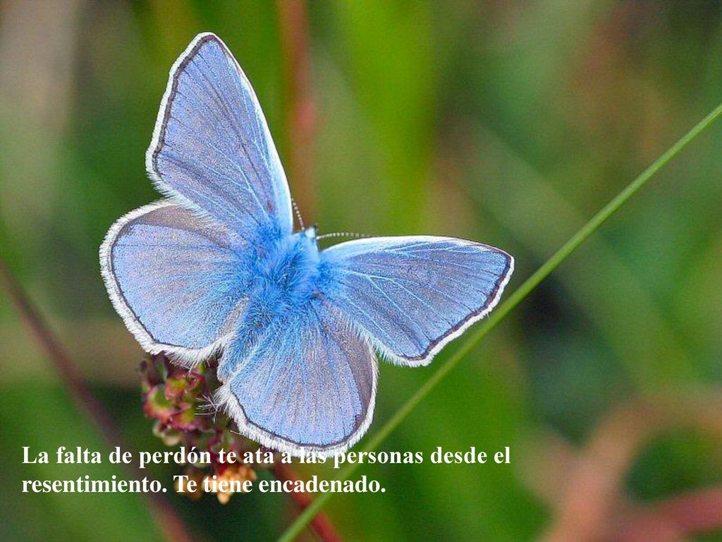 La falta de perdón te ata a las personas desde el resentimiento