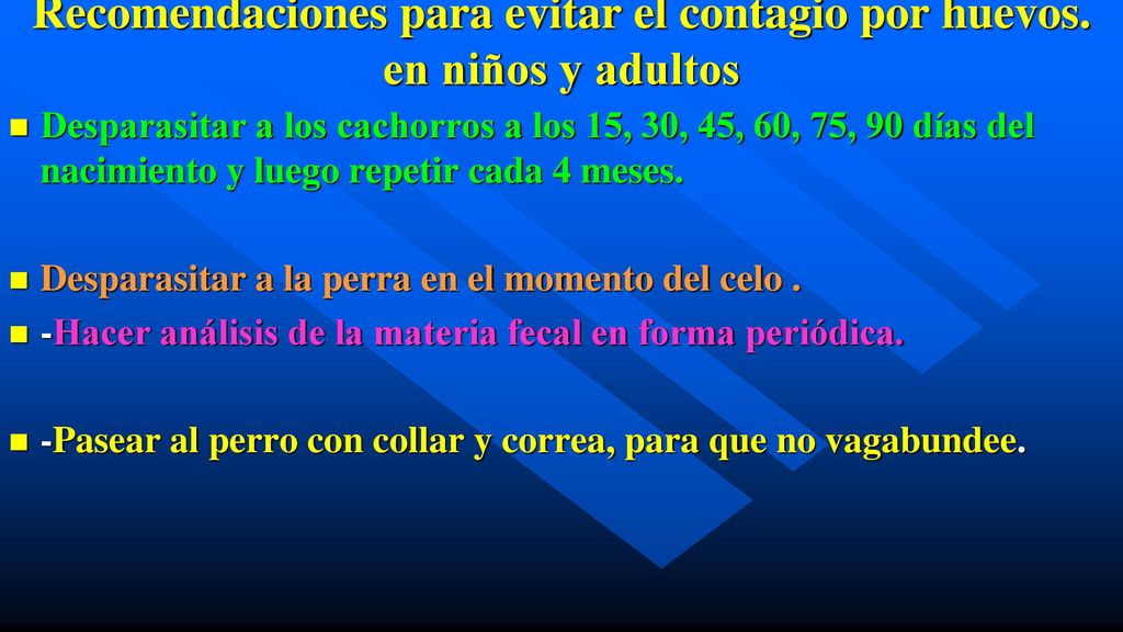 Recomendaciones para evitar el contagio por huevos. en niños y adultos