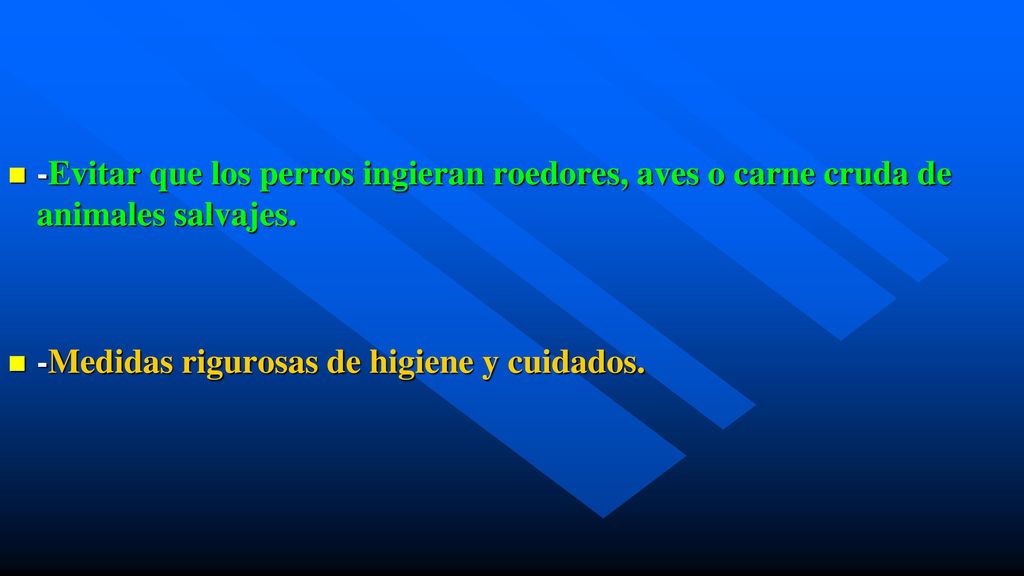 -Evitar que los perros ingieran roedores, aves o carne cruda de animales salvajes.