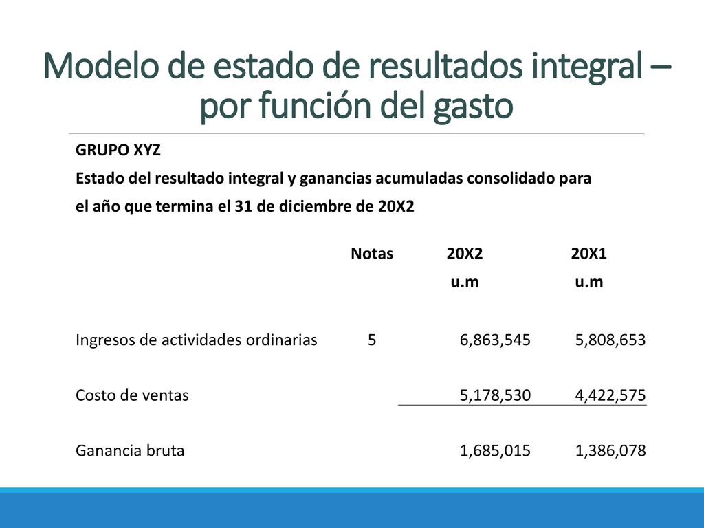 Modelo de estado de resultados integral – por función del gasto