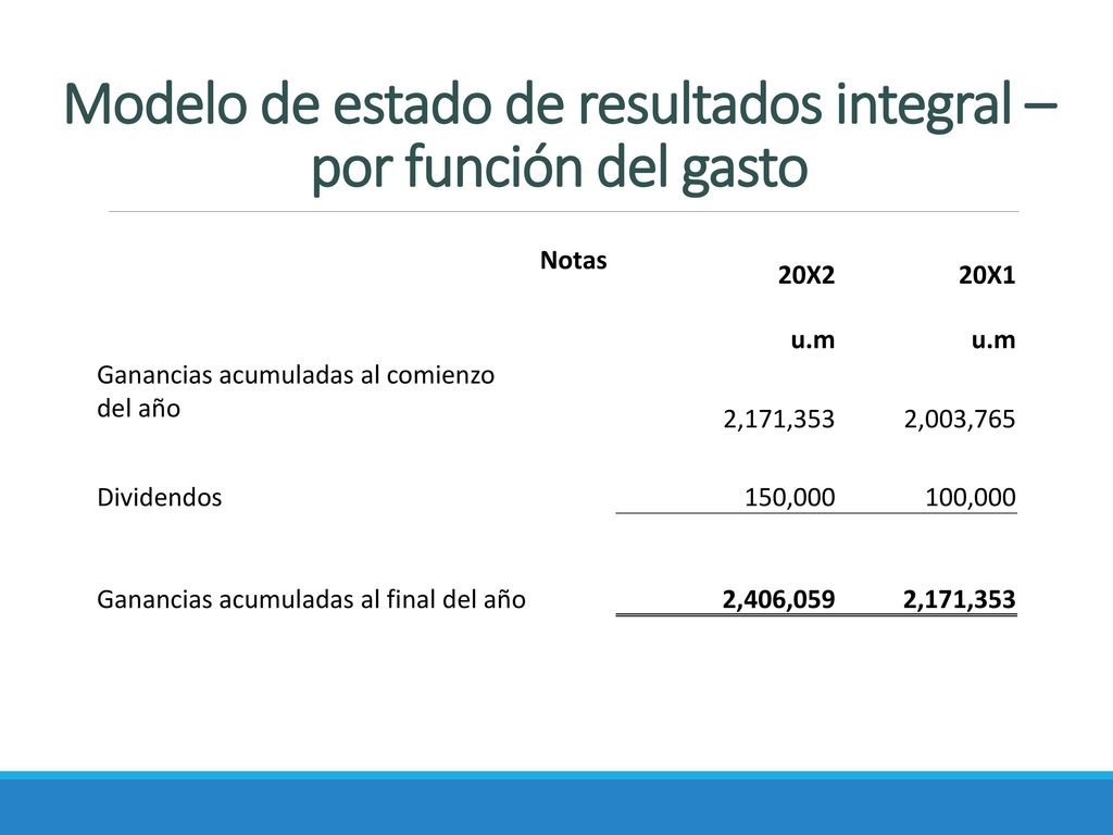 Modelo de estado de resultados integral – por función del gasto
