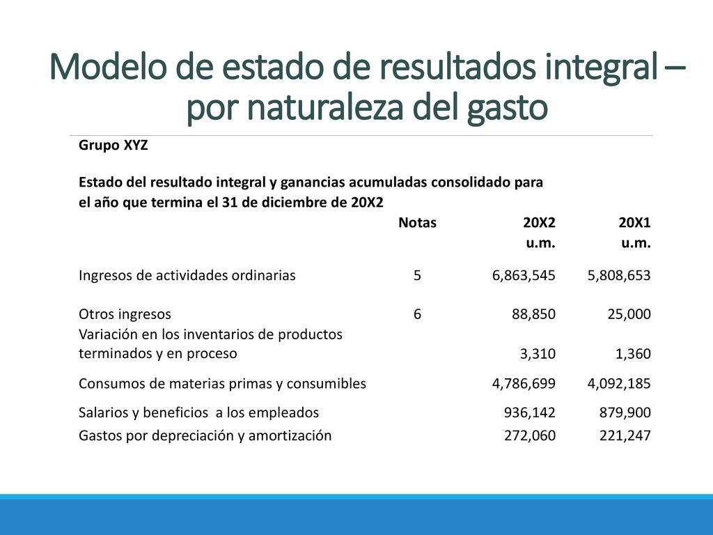 Modelo de estado de resultados integral – por naturaleza del gasto