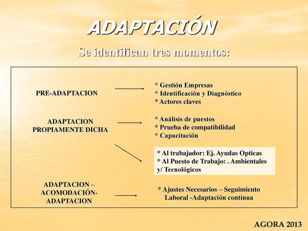 ADAPTACIÓN Se identifican tres momentos: AGORA 2013 * Gestión Empresas