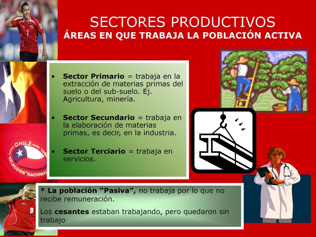 SECTORES PRODUCTIVOS ÁREAS EN QUE TRABAJA LA POBLACIÓN ACTIVA