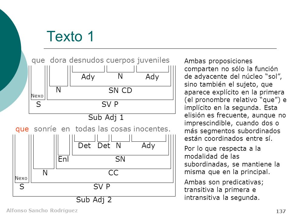 Texto 1 que dora desnudos cuerpos juveniles Ady N Ady N SN CD S SV P