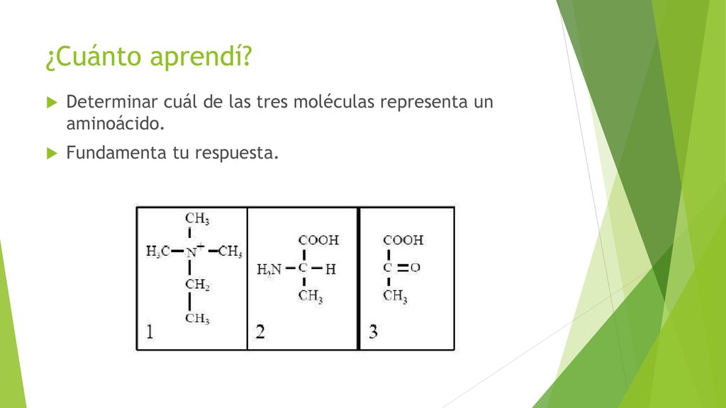 ¿Cuánto aprendí. Determinar cuál de las tres moléculas representa un aminoácido.