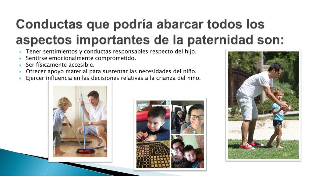 Conductas que podría abarcar todos los aspectos importantes de la paternidad son: