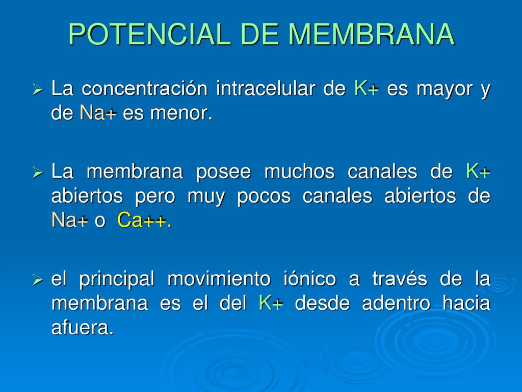 POTENCIAL DE MEMBRANA La concentración intracelular de K+ es mayor y de Na+ es menor.