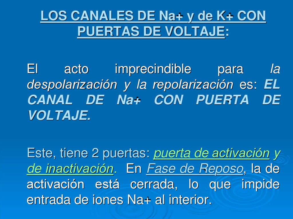 LOS CANALES DE Na+ y de K+ CON PUERTAS DE VOLTAJE:
