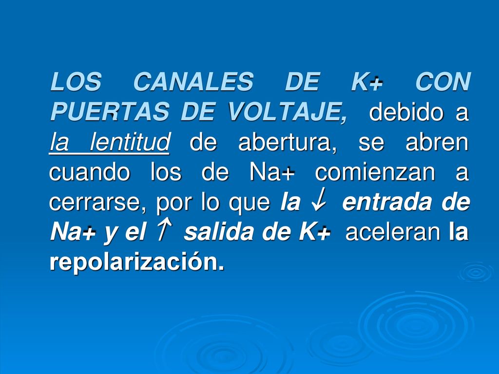 LOS CANALES DE K+ CON PUERTAS DE VOLTAJE, debido a la lentitud de abertura, se abren cuando los de Na+ comienzan a cerrarse, por lo que la  entrada de Na+ y el  salida de K+ aceleran la repolarización.