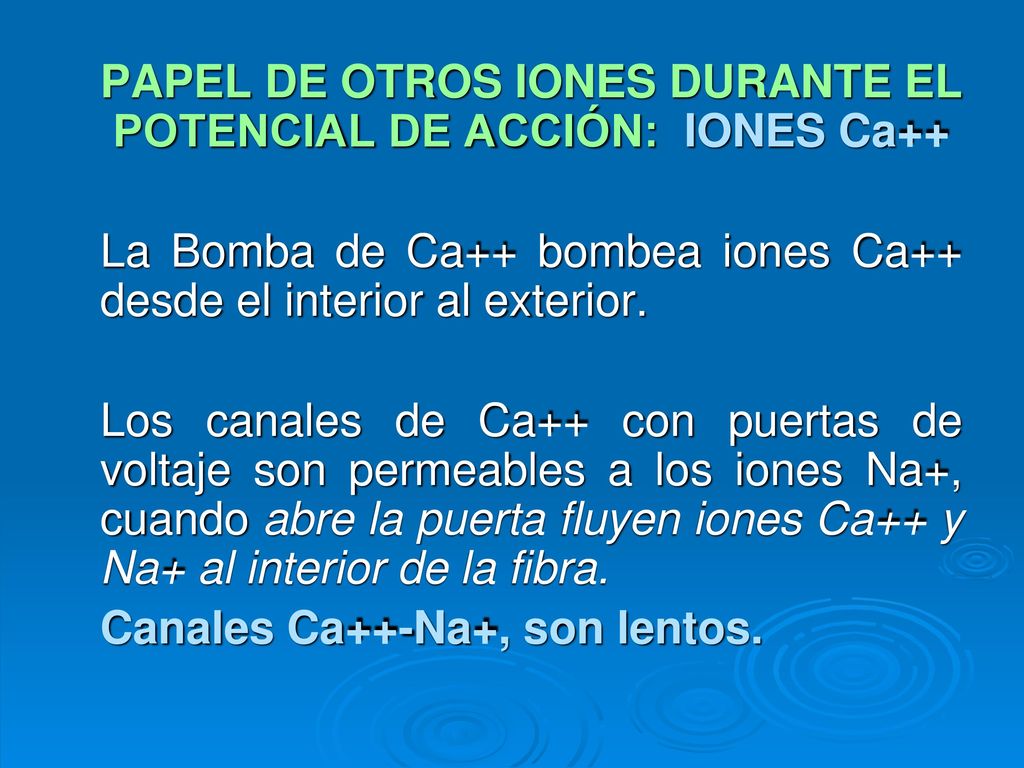 PAPEL DE OTROS IONES DURANTE EL POTENCIAL DE ACCIÓN: IONES Ca++