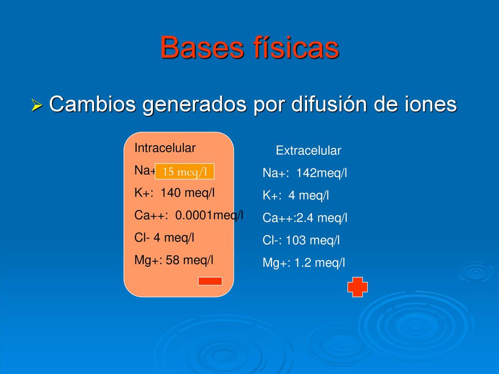 Bases físicas Cambios generados por difusión de iones Intracelular