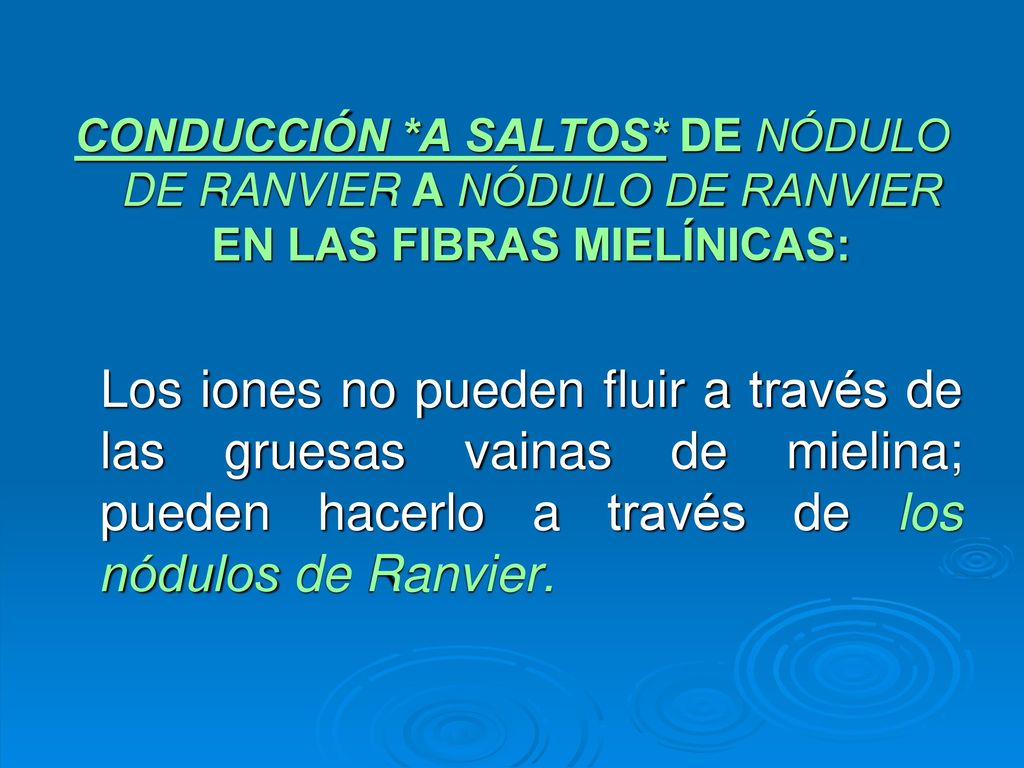 CONDUCCIÓN *A SALTOS* DE NÓDULO DE RANVIER A NÓDULO DE RANVIER EN LAS FIBRAS MIELÍNICAS:
