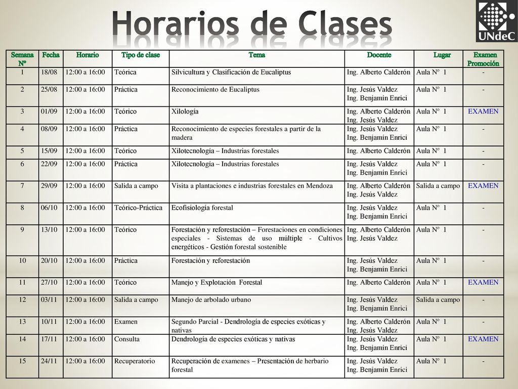 Horarios de Clases Semana Nº Fecha Horario Tipo de clase Tema Docente