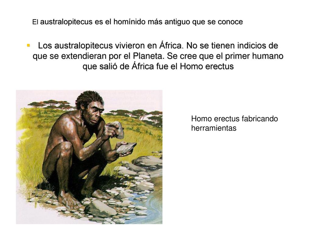 El australopitecus es el homínido más antiguo que se conoce