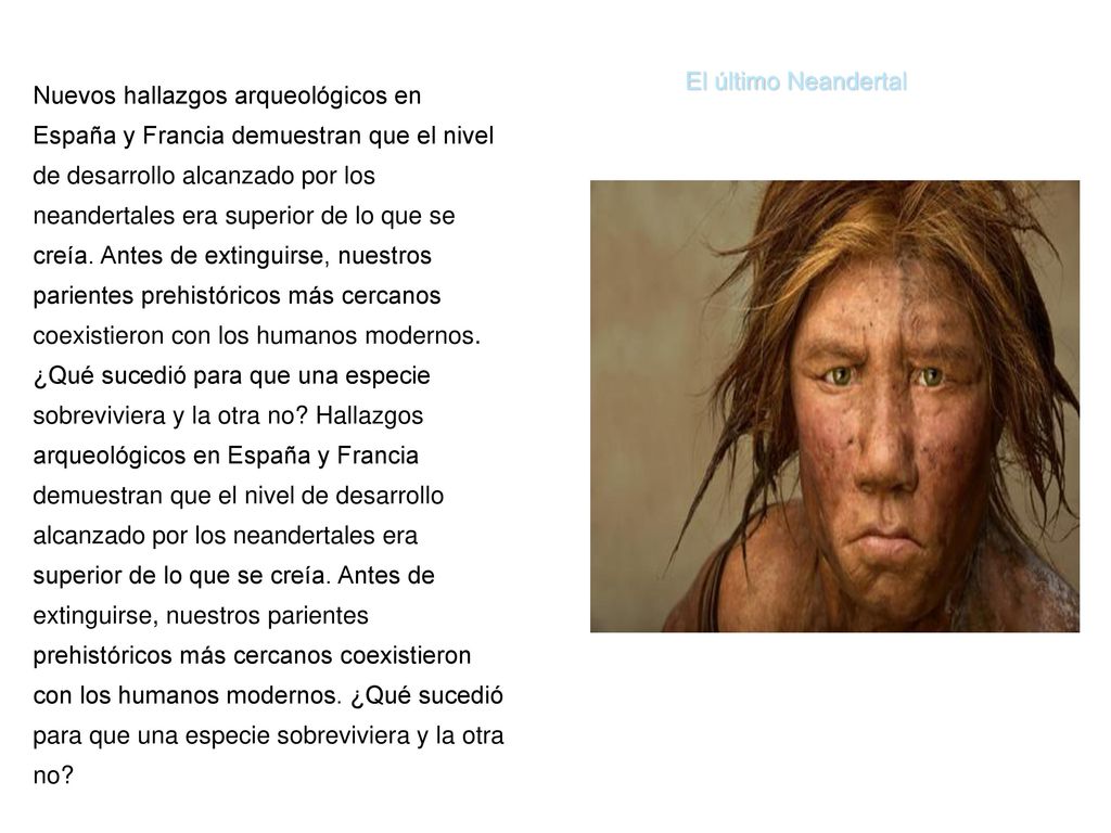 Nuevos hallazgos arqueológicos en España y Francia demuestran que el nivel de desarrollo alcanzado por los neandertales era superior de lo que se creía. Antes de extinguirse, nuestros parientes prehistóricos más cercanos coexistieron con los humanos modernos. ¿Qué sucedió para que una especie sobreviviera y la otra no Hallazgos arqueológicos en España y Francia demuestran que el nivel de desarrollo alcanzado por los neandertales era superior de lo que se creía. Antes de extinguirse, nuestros parientes prehistóricos más cercanos coexistieron con los humanos modernos. ¿Qué sucedió para que una especie sobreviviera y la otra no
