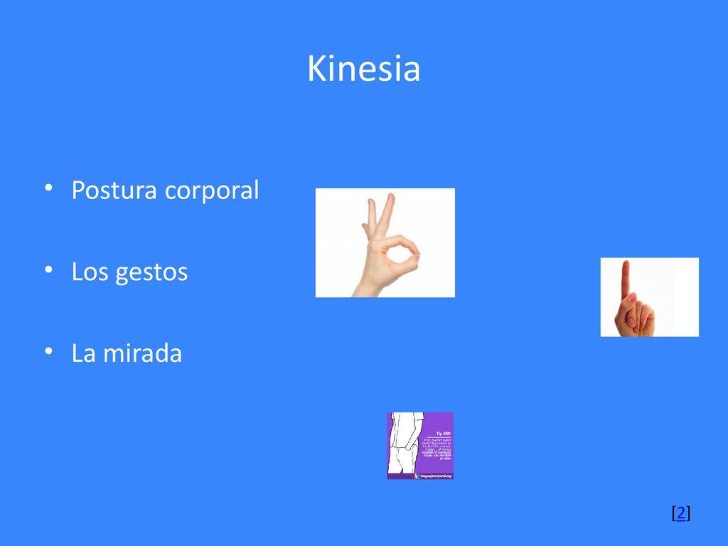 Kinesia Postura corporal Los gestos La mirada [2]