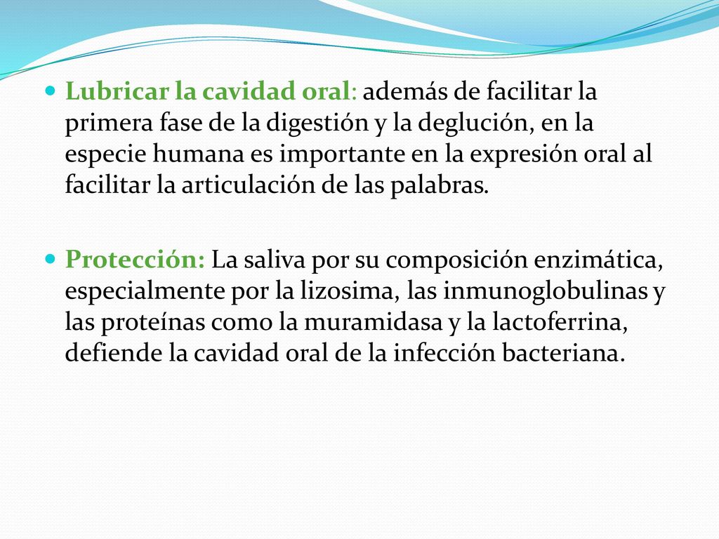Lubricar la cavidad oral: además de facilitar la primera fase de la digestión y la deglución, en la especie humana es importante en la expresión oral al facilitar la articulación de las palabras.
