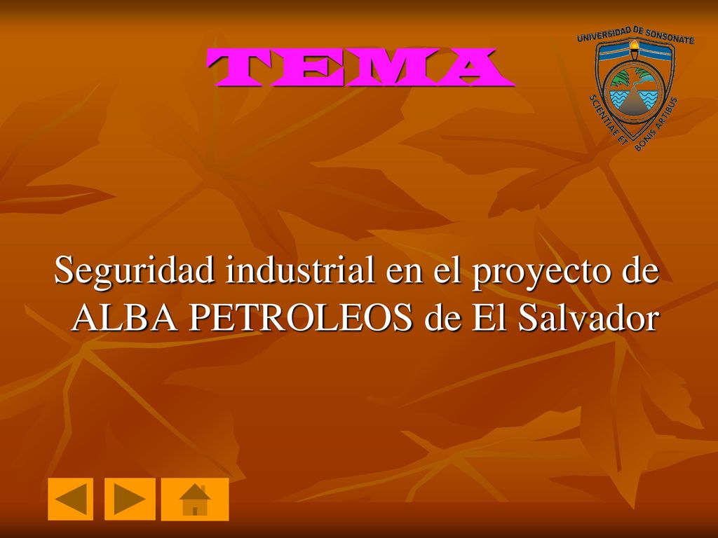 TEMA Seguridad industrial en el proyecto de ALBA PETROLEOS de El Salvador
