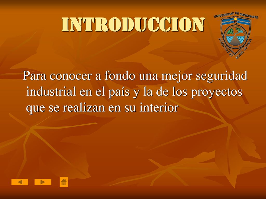 INTRODUCCION Para conocer a fondo una mejor seguridad industrial en el país y la de los proyectos que se realizan en su interior.