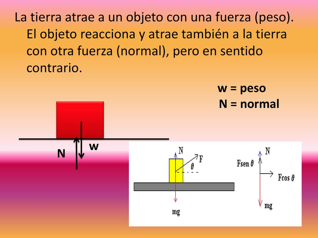 La tierra atrae a un objeto con una fuerza (peso)
