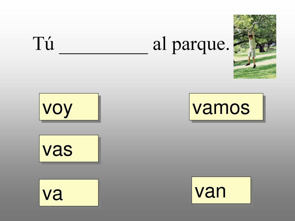 Tú _________ al parque. voy vamos vas van va
