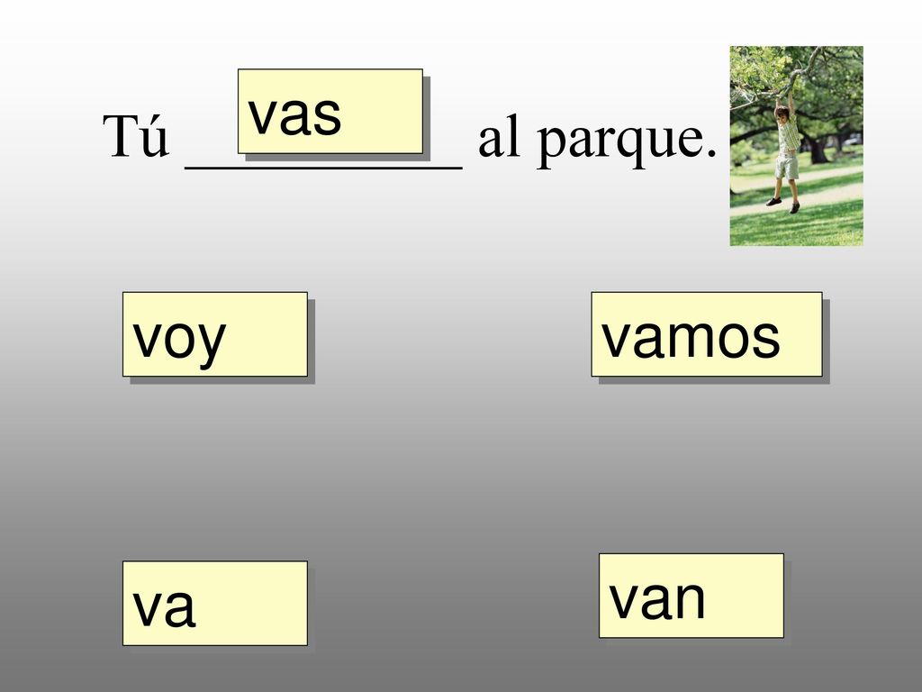 vas Tú _________ al parque. voy vamos van va