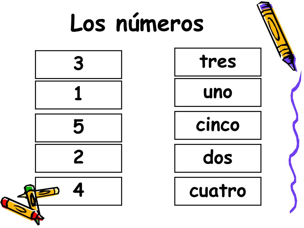 Los números tres 3 uno 1 cinco 5 2 dos 4 cuatro