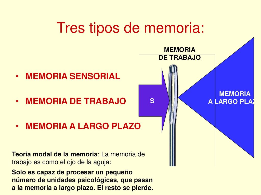 Tres tipos de memoria: MEMORIA SENSORIAL MEMORIA DE TRABAJO
