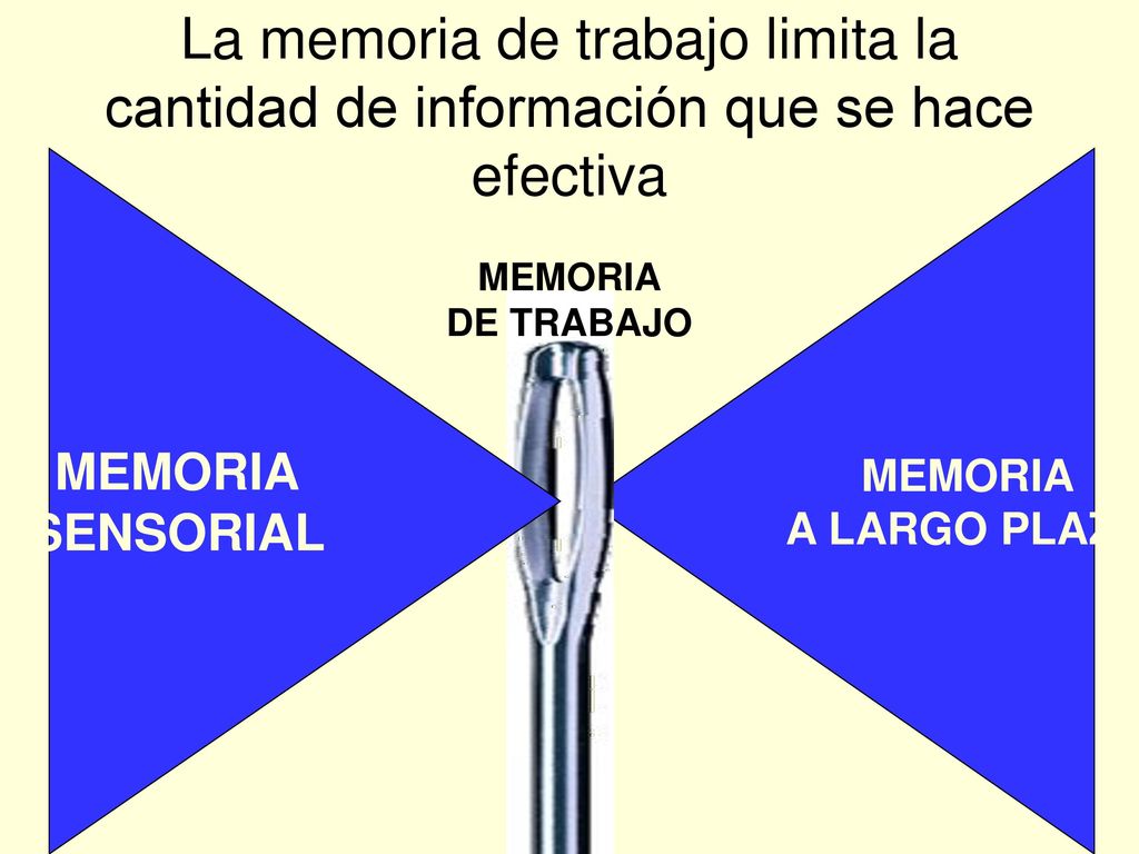La memoria de trabajo limita la cantidad de información que se hace efectiva