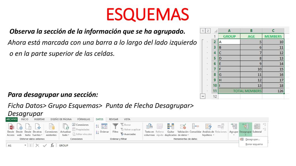 ESQUEMAS Observa la sección de la información que se ha agrupado.