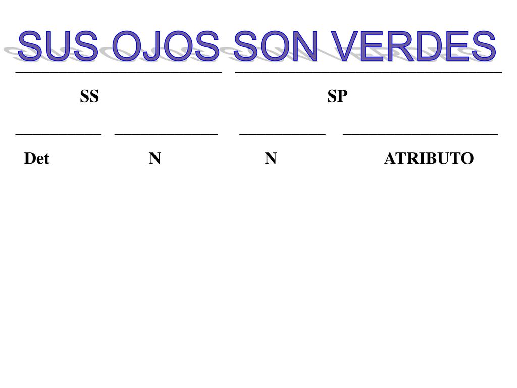 SUS OJOS SON VERDES ________________________ _______________________________. SS SP.
