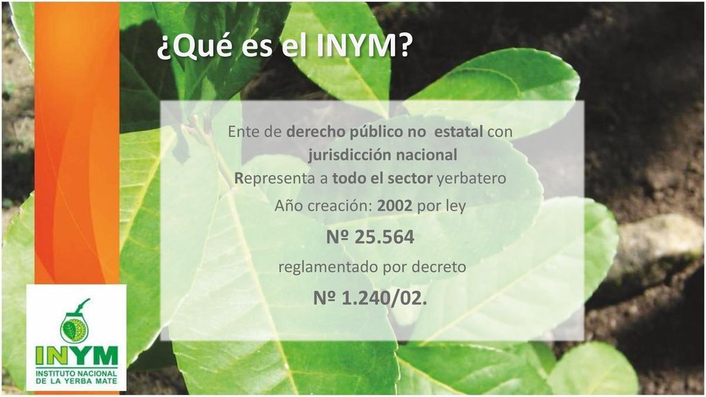 ¿Qué es el INYM Ente de derecho público no estatal con jurisdicción nacional. Representa a todo el sector yerbatero.