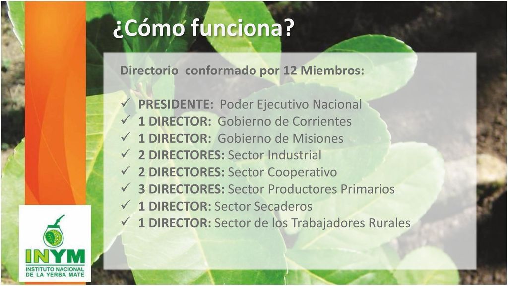 ¿Cómo funciona Directorio conformado por 12 Miembros: