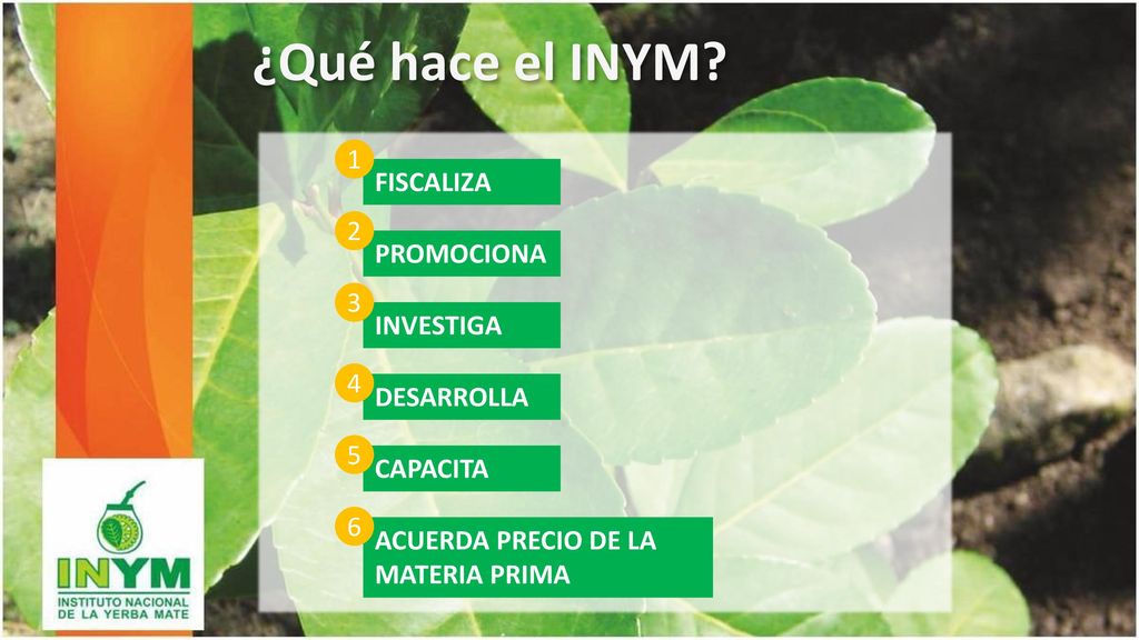 ¿Qué hace el INYM 1 FISCALIZA 2 PROMOCIONA 3 INVESTIGA 4 DESARROLLA 5