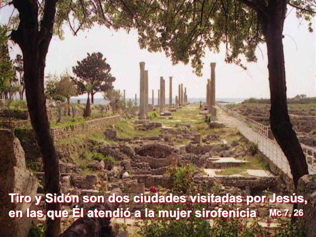 Tiro y Sidón son dos ciudades visitadas por Jesús, en las que Él atendió a la mujer sirofenícia