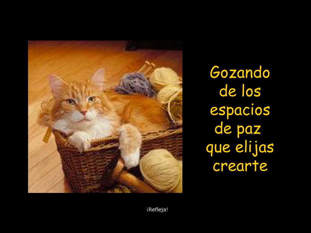 Gozando de los espacios de paz que elijas crearte ¡Refleja!