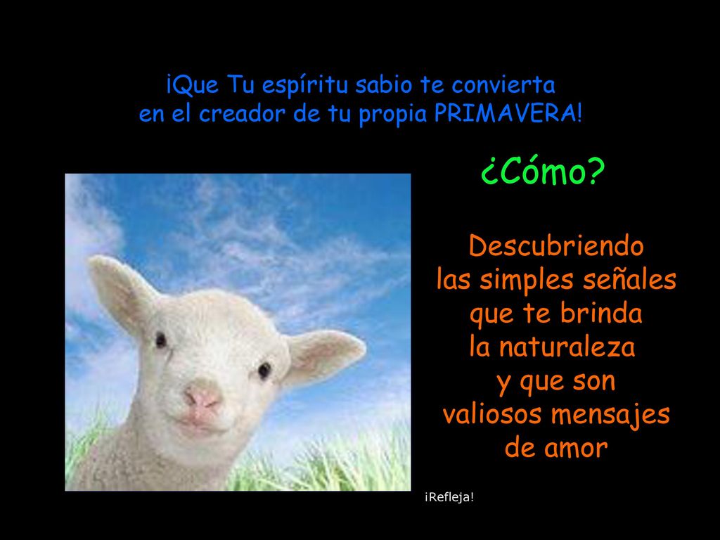 ¿Cómo Descubriendo las simples señales que te brinda la naturaleza