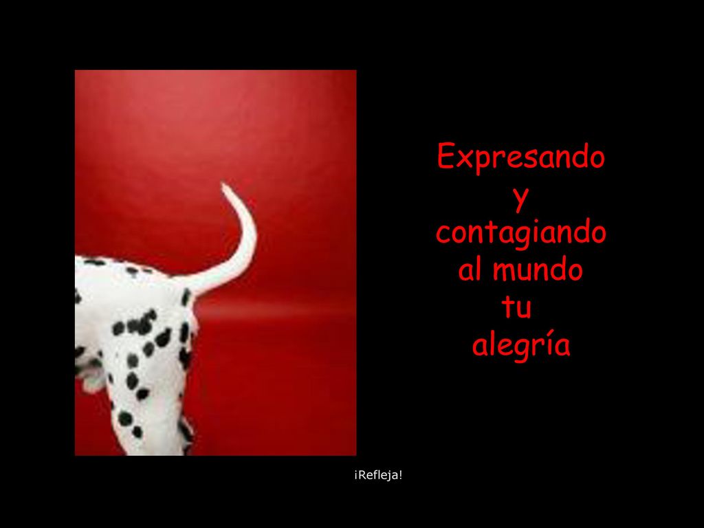 Expresando y contagiando al mundo tu alegría ¡Refleja!