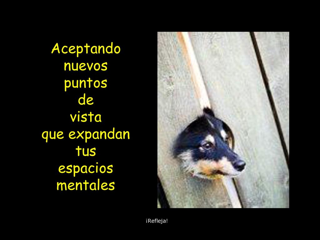 Aceptando nuevos puntos de vista que expandan tus espacios mentales