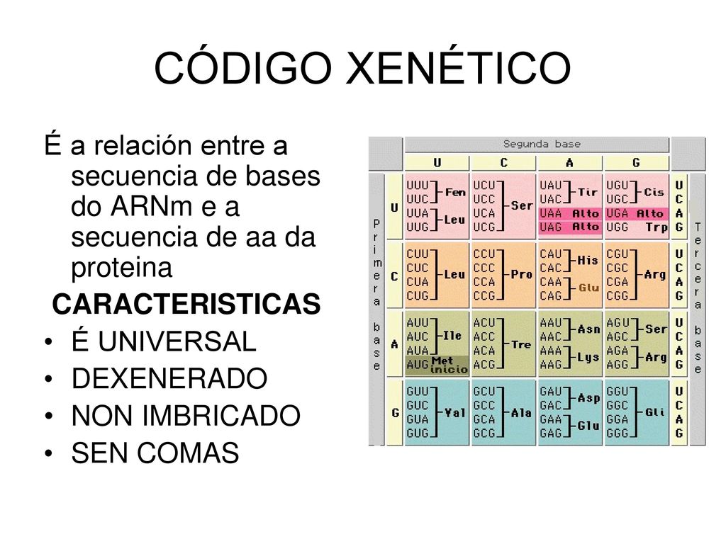 CÓDIGO XENÉTICO É a relación entre a secuencia de bases do ARNm e a secuencia de aa da proteina. CARACTERISTICAS.